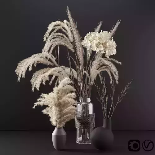 Set with dry plants