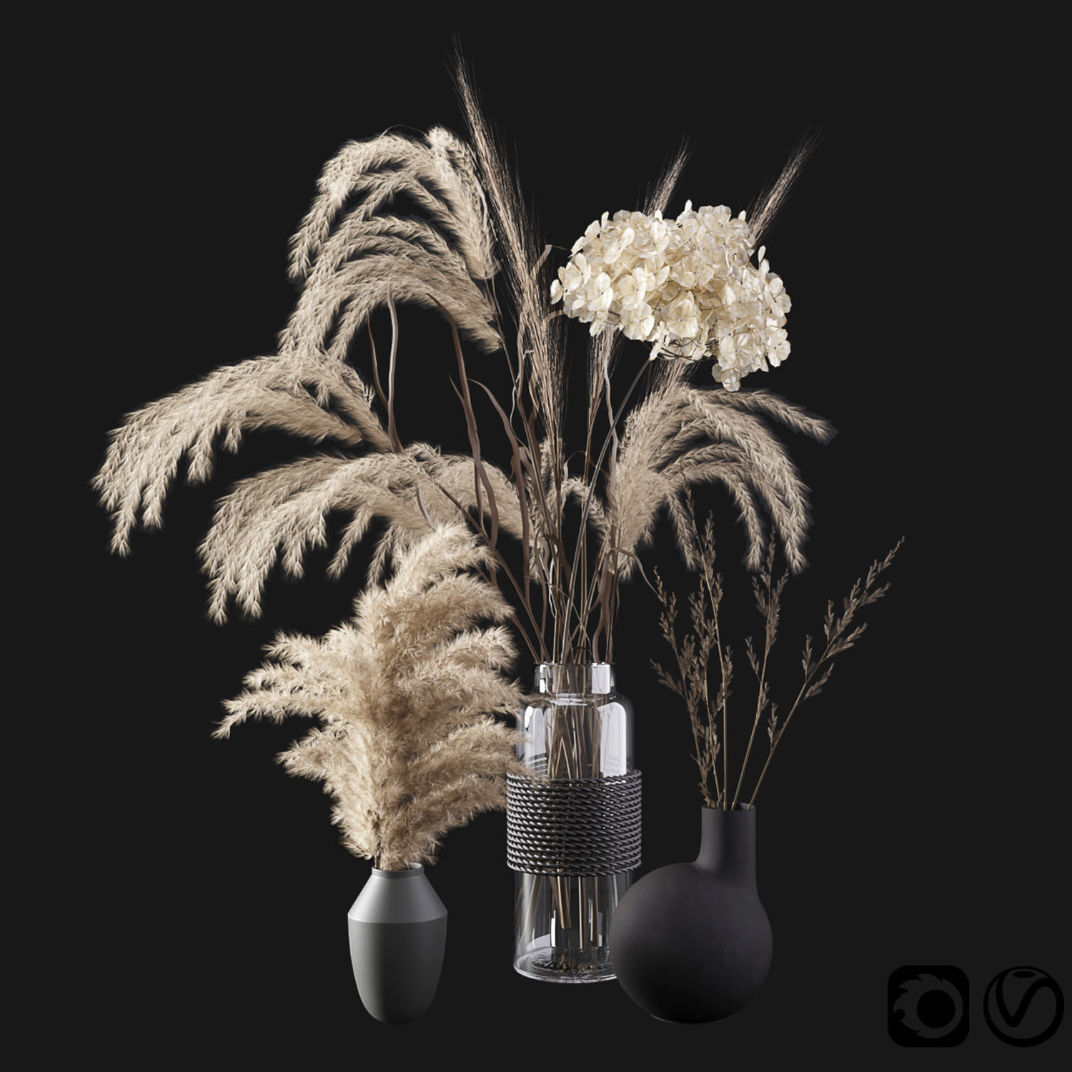 Set with dry plants 3D model_3