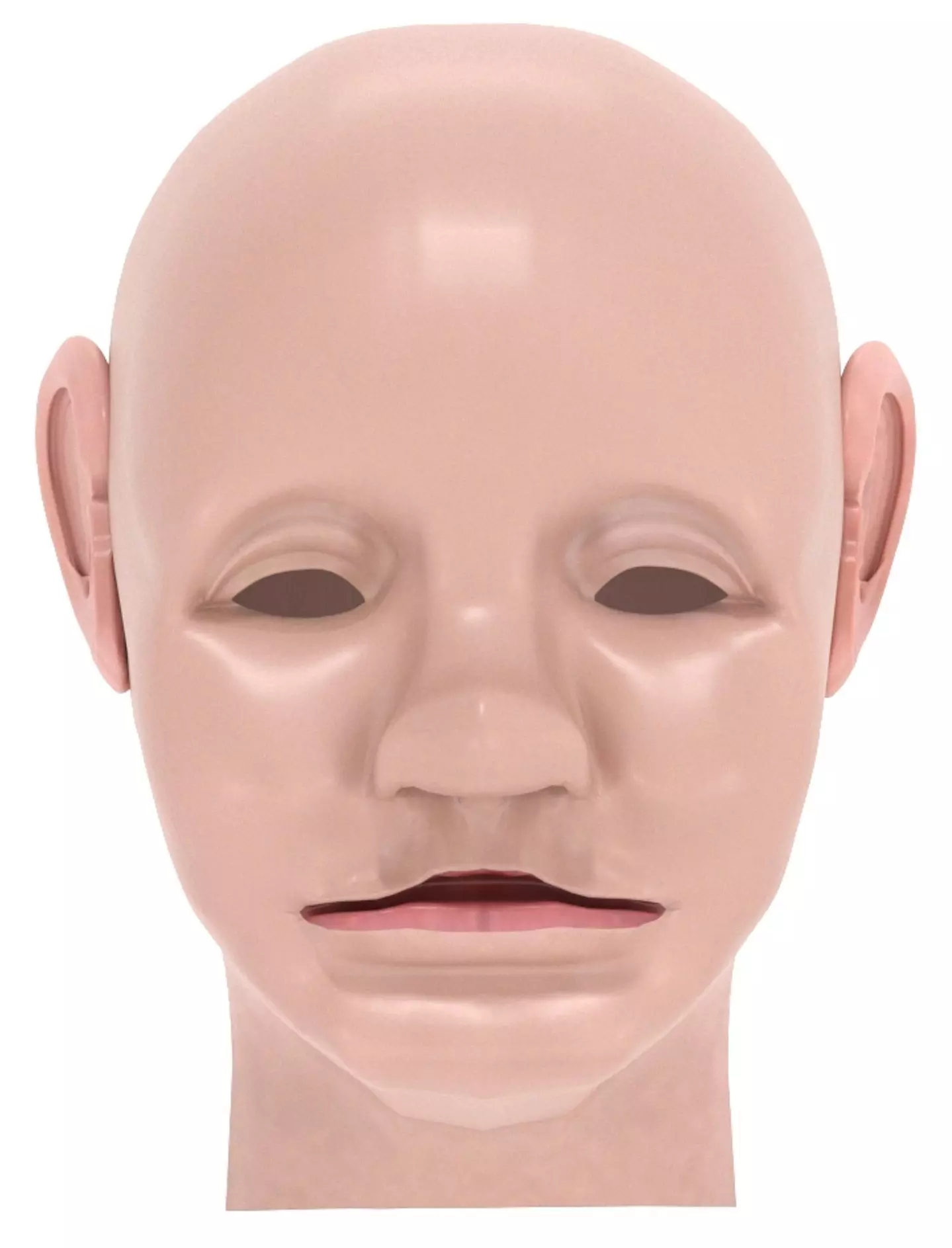 Human Head 3D model