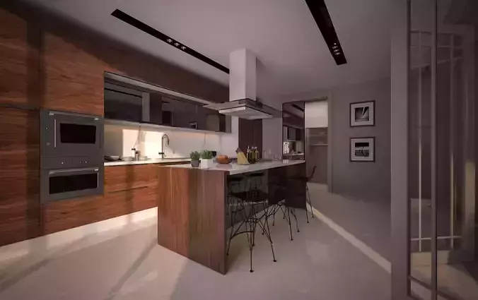 kitchen  living room and doorway design 3 in 1