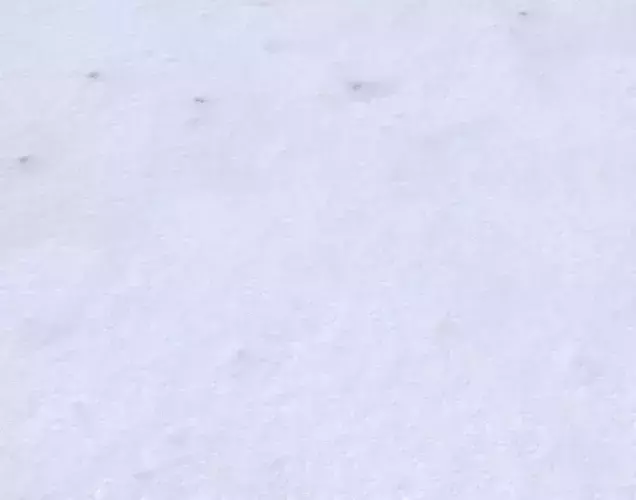 Snow terrain PBR pack 3 Texture