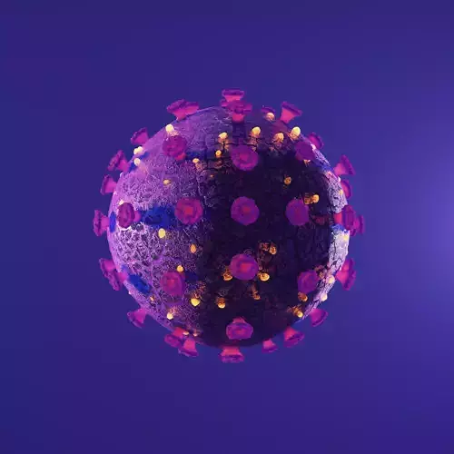 Corona Virus