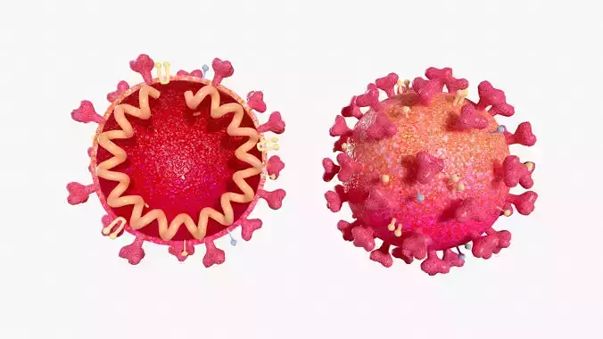 Coronavirus 2019-nCoV SARS-CoV-2 Covid 19 Cross Section 