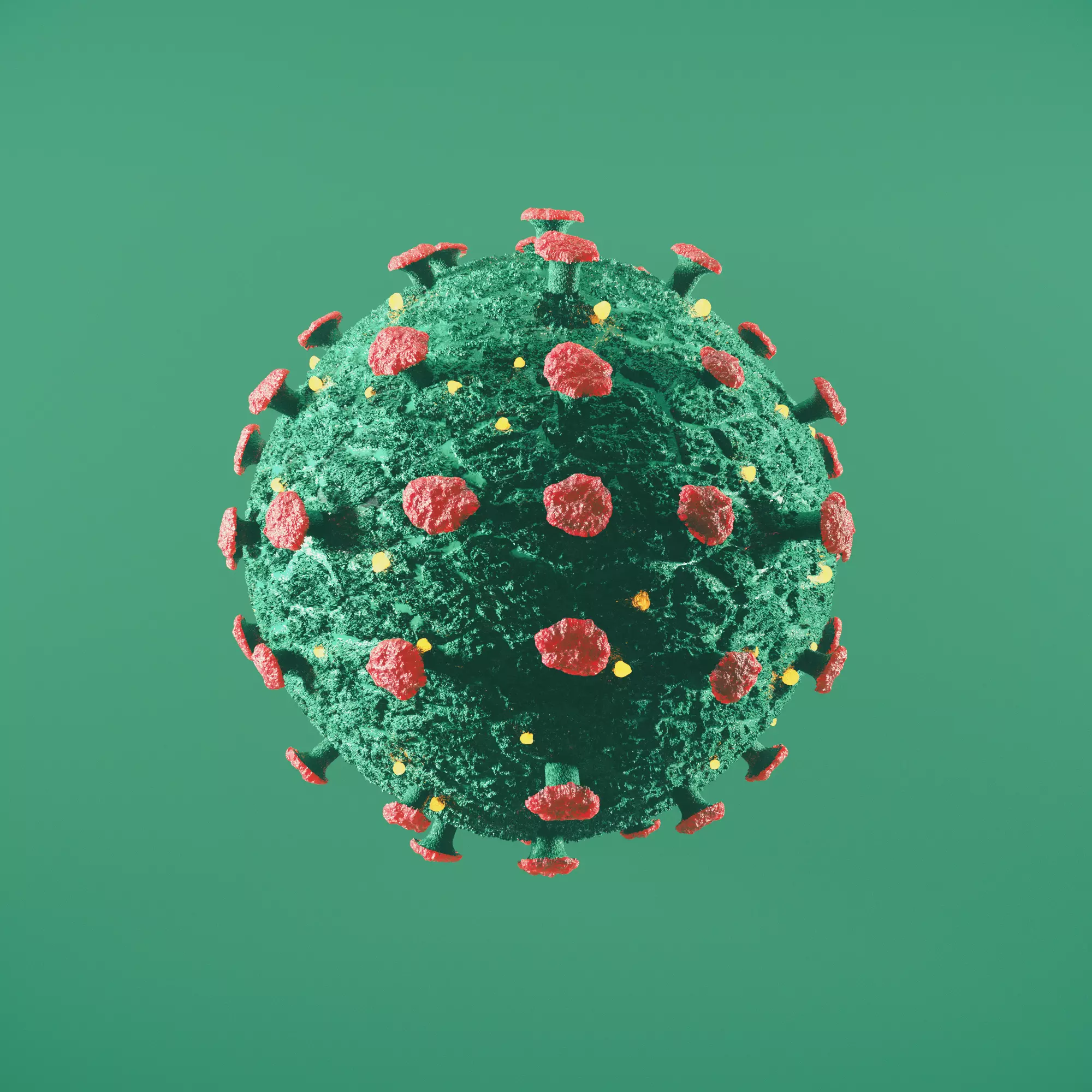 CoronaVirus Covid-19 3D model_0