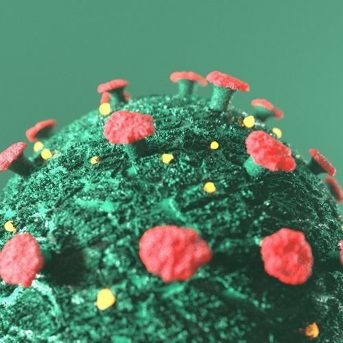 CoronaVirus Covid-19 3D model_7