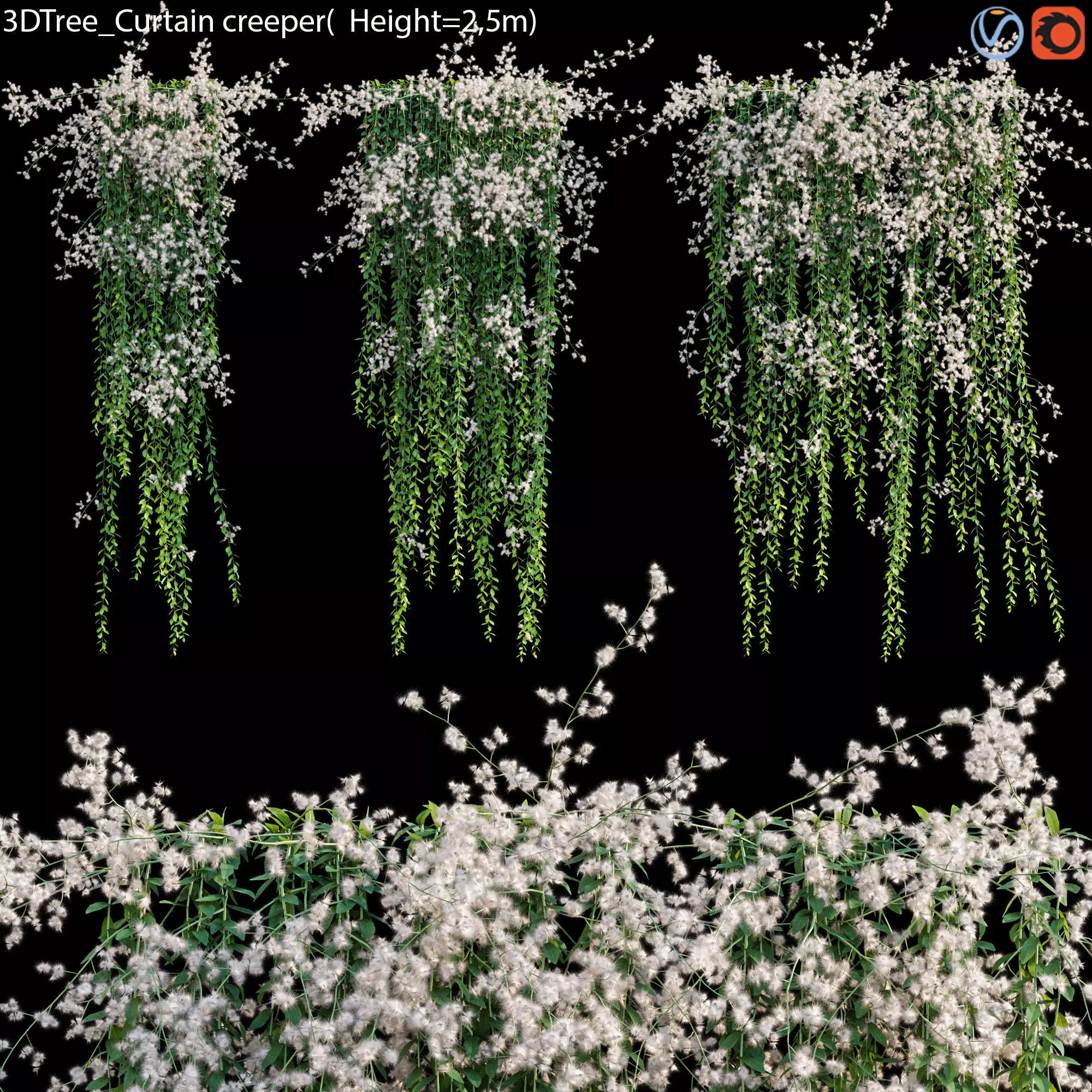 Vernonia Elliptica - Curtain Creeper 05 3D model