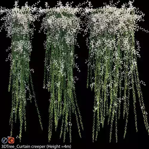 Vernonia Elliptica - Curtain Creeper 07