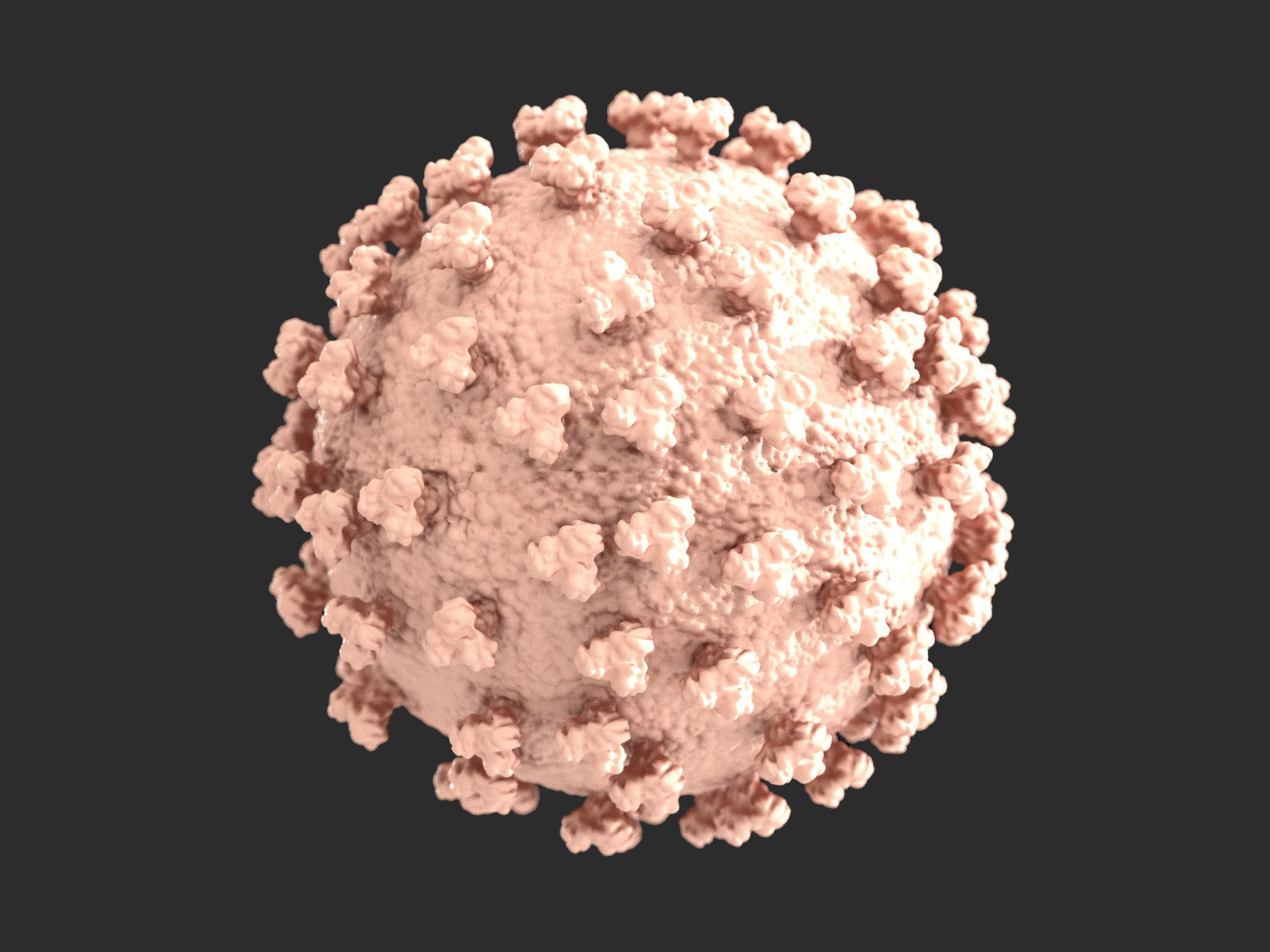 corona virus 3D print model_4