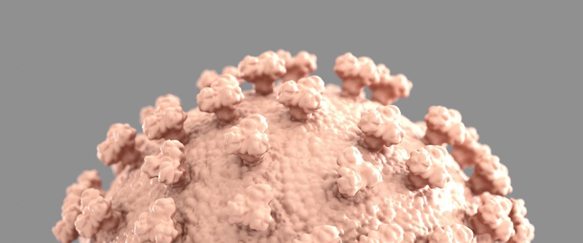 corona virus 3D print model_1