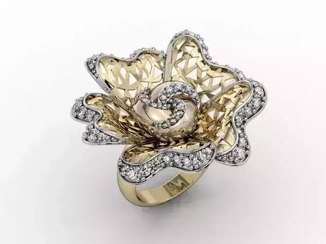 Fashion ring