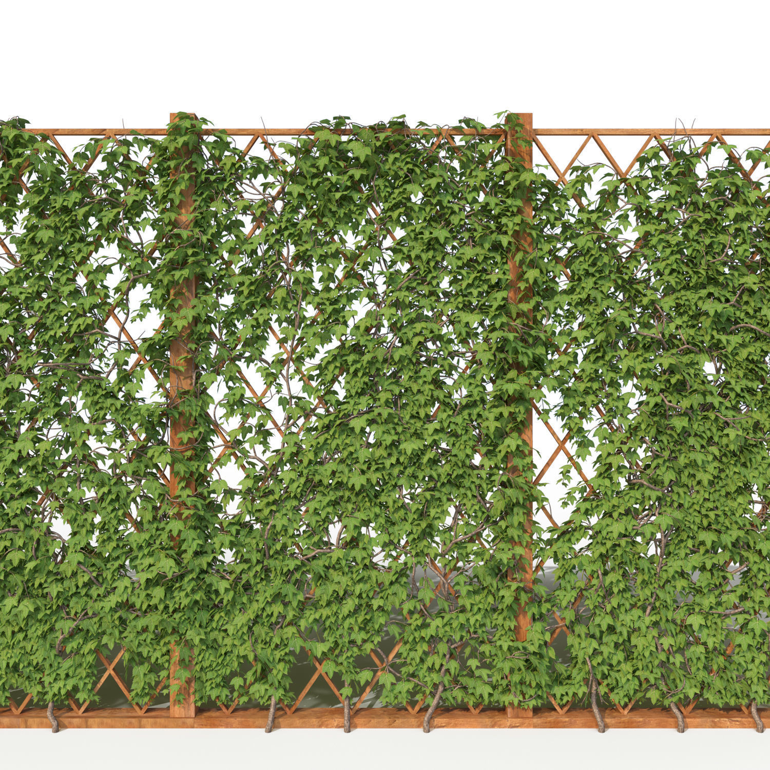 Ivy fence 3D model_8