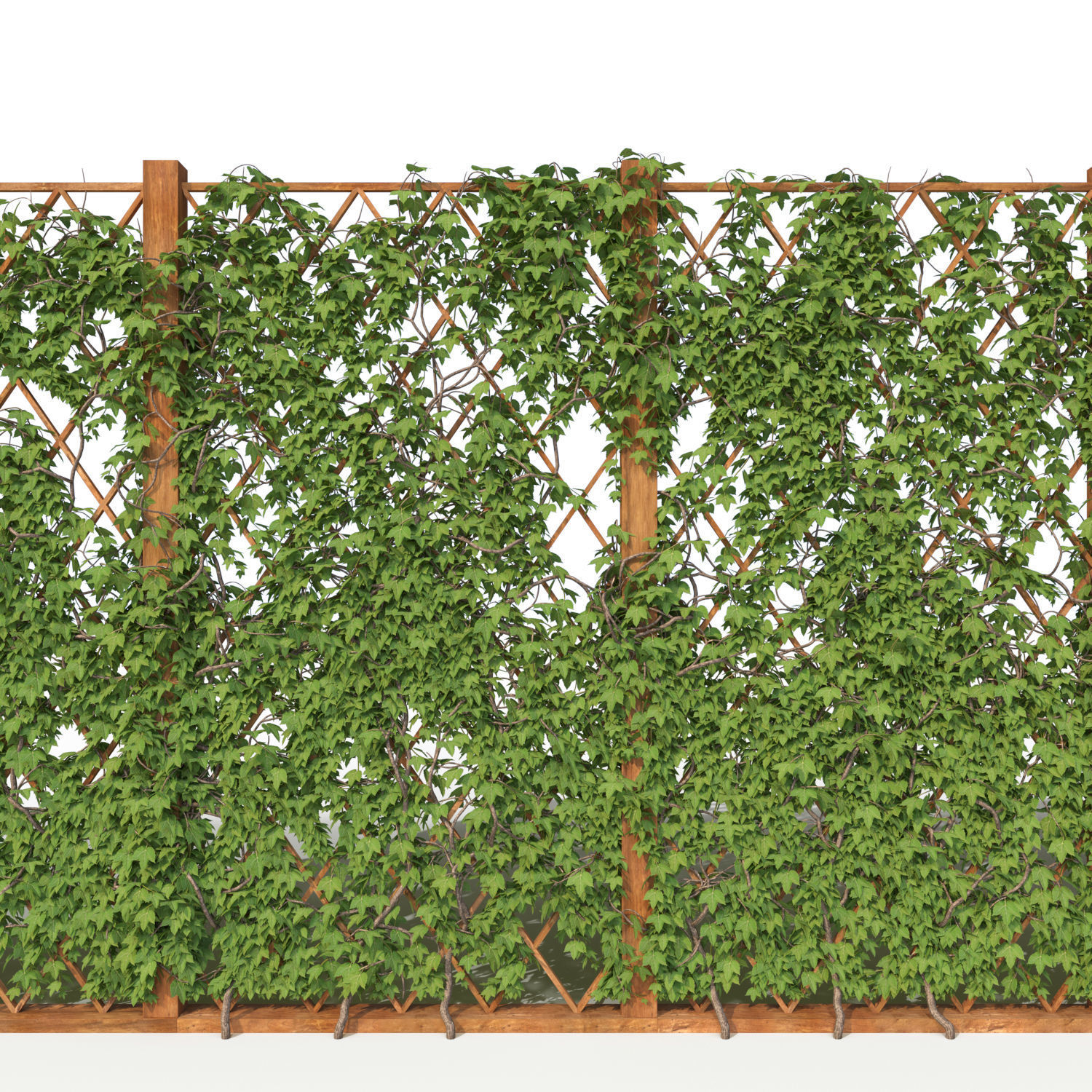 Ivy fence 3D model_3