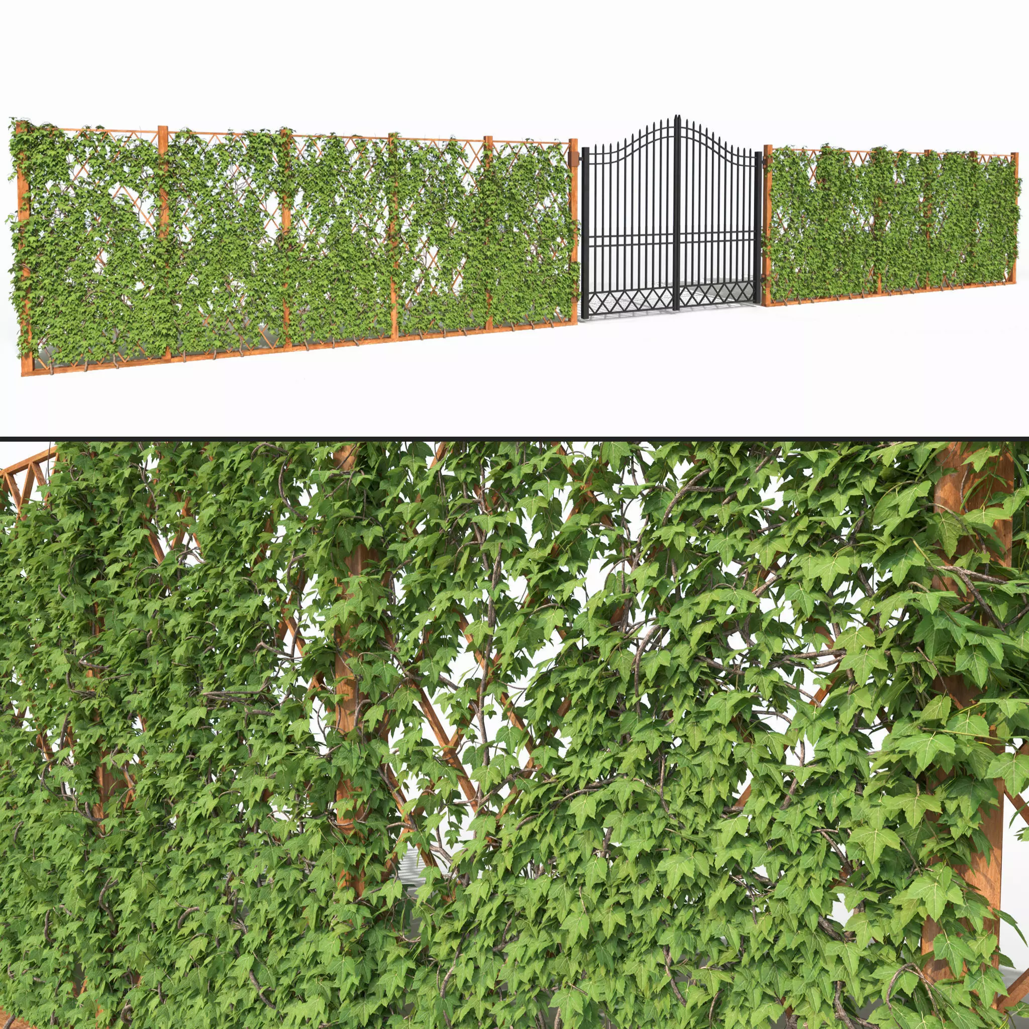 Ivy fence 3D model_0