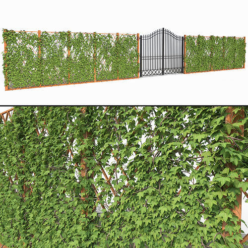 Ivy fence 3D model