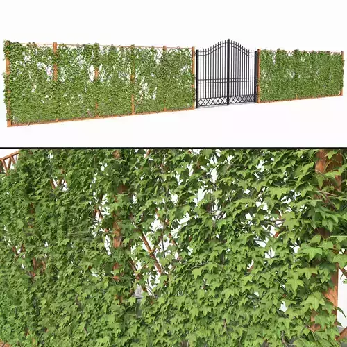 Ivy fence 3D model