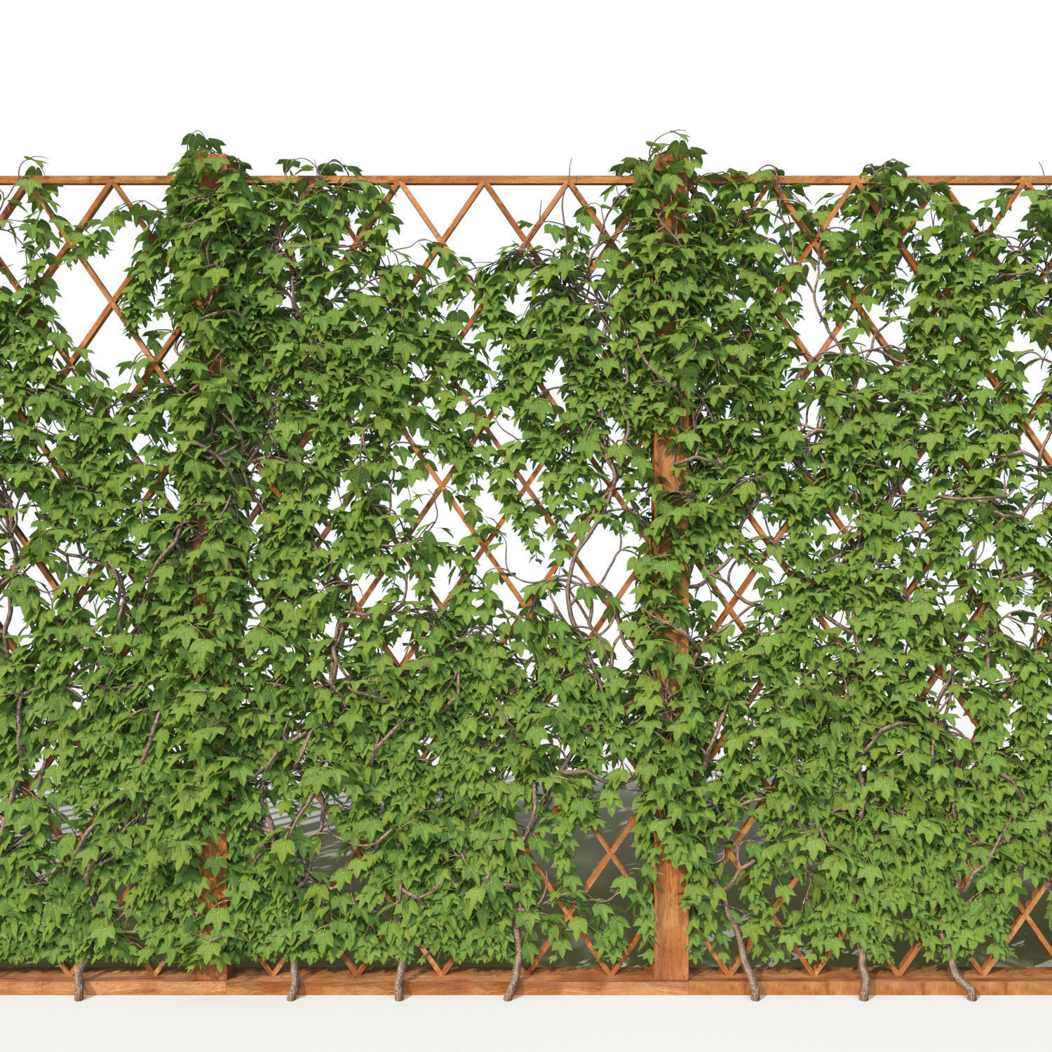 Ivy fence 3D model_5