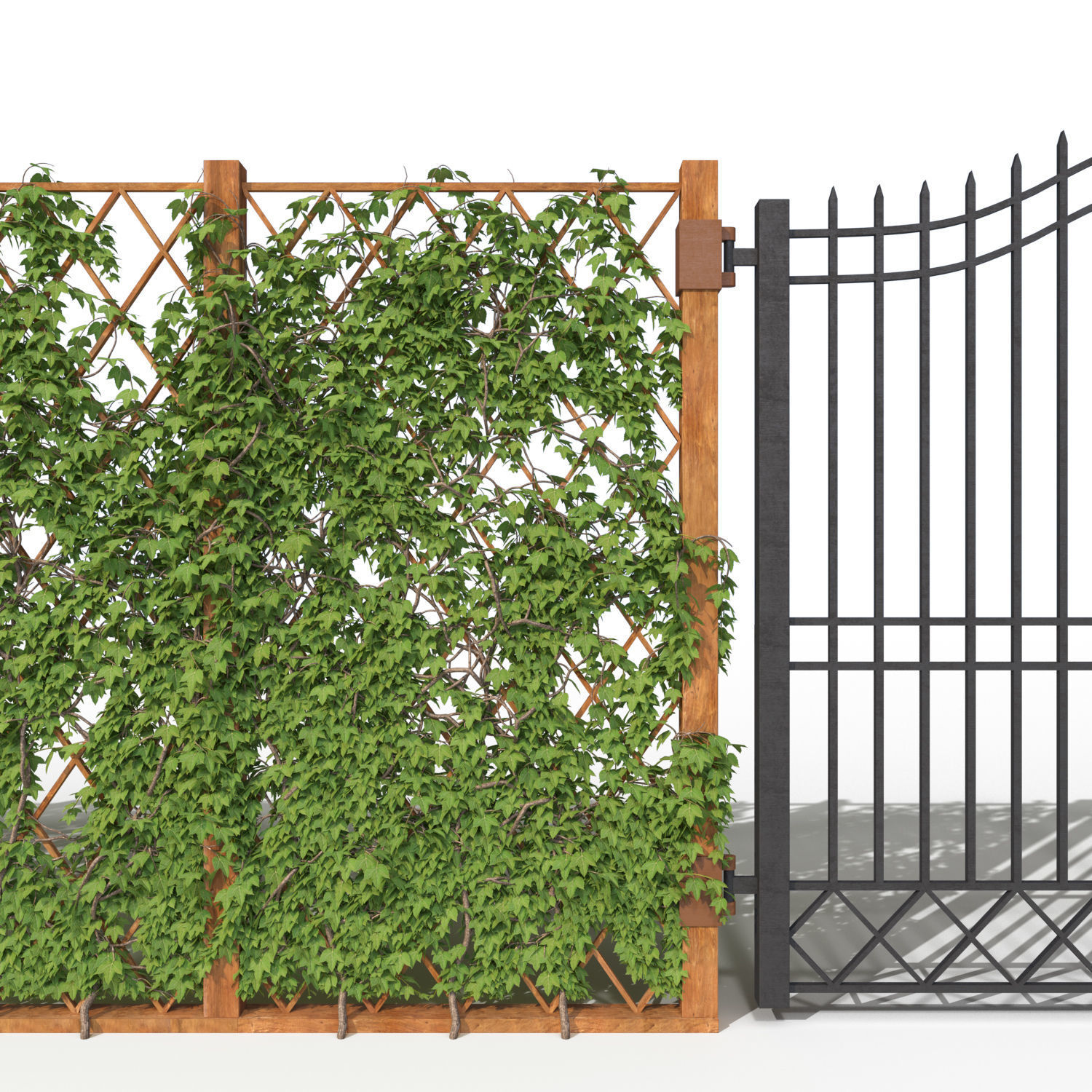 Ivy fence 3D model_6