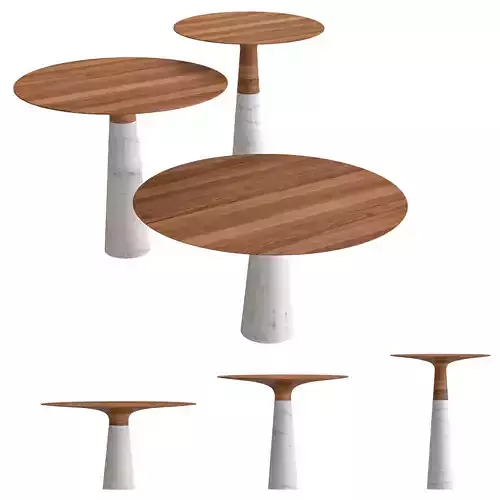 Neutra LEAF WSL coffee table