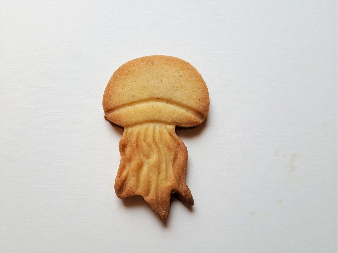 Jellyfish cookie cutter 3D print model_1