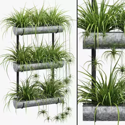 Warman grass planter