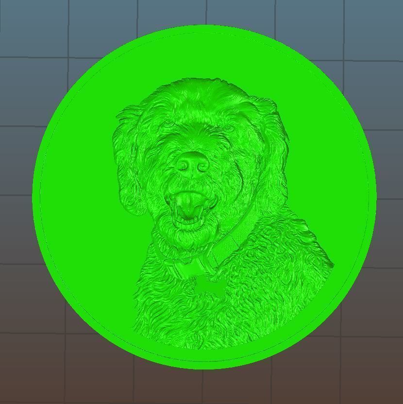 Dog Head Coin - relief - 2020 3D print model_5