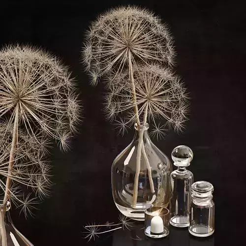 Decor set 12 Heracleum plant