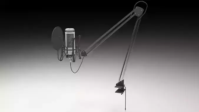 Microphone