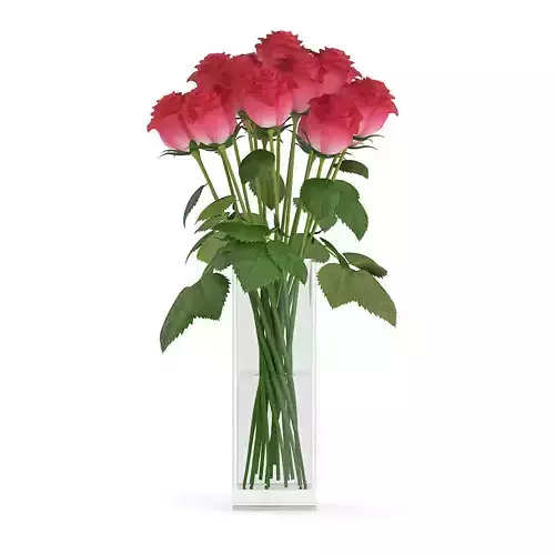 Red Roses in Glass Vase