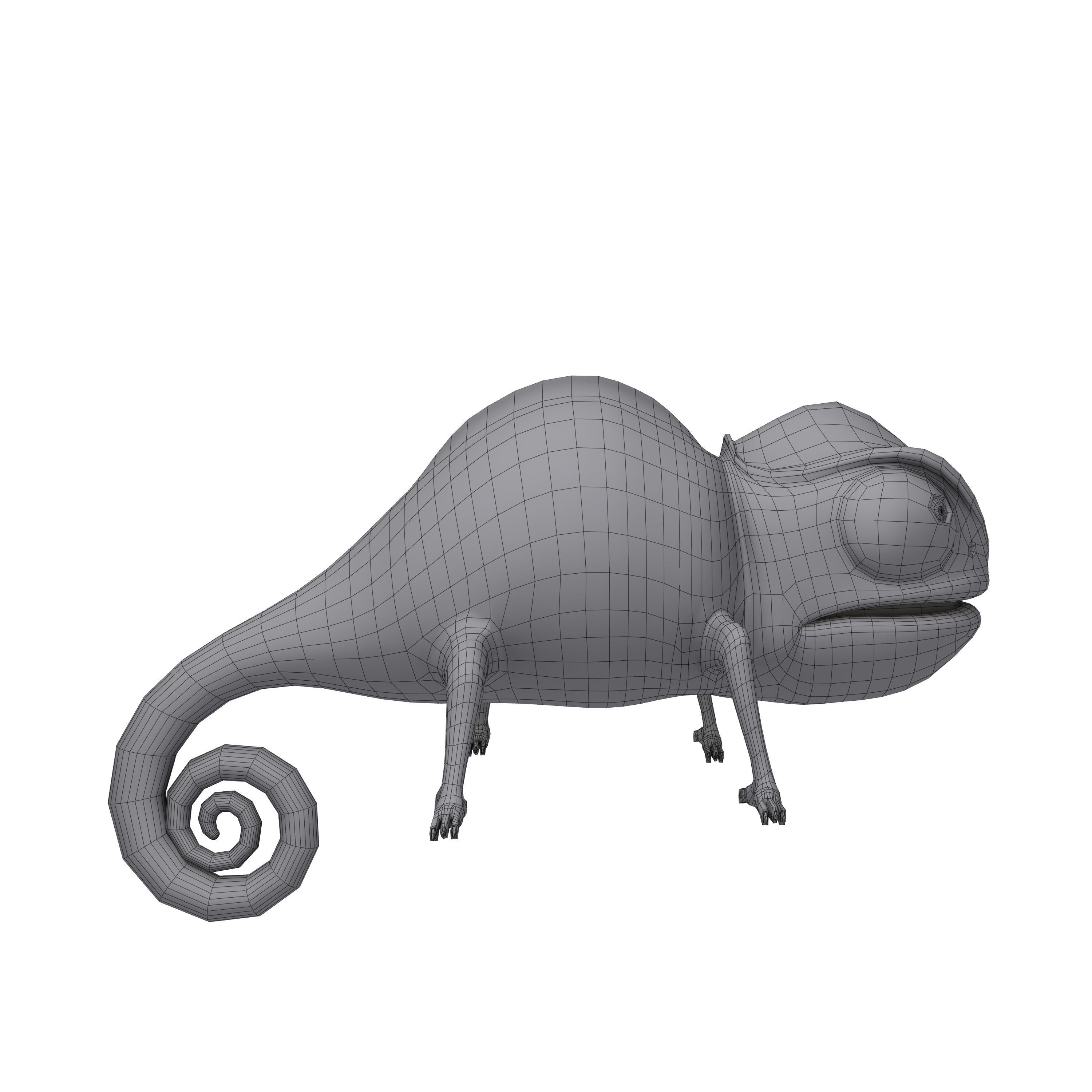 Chameleon Cartoon 3D model_5