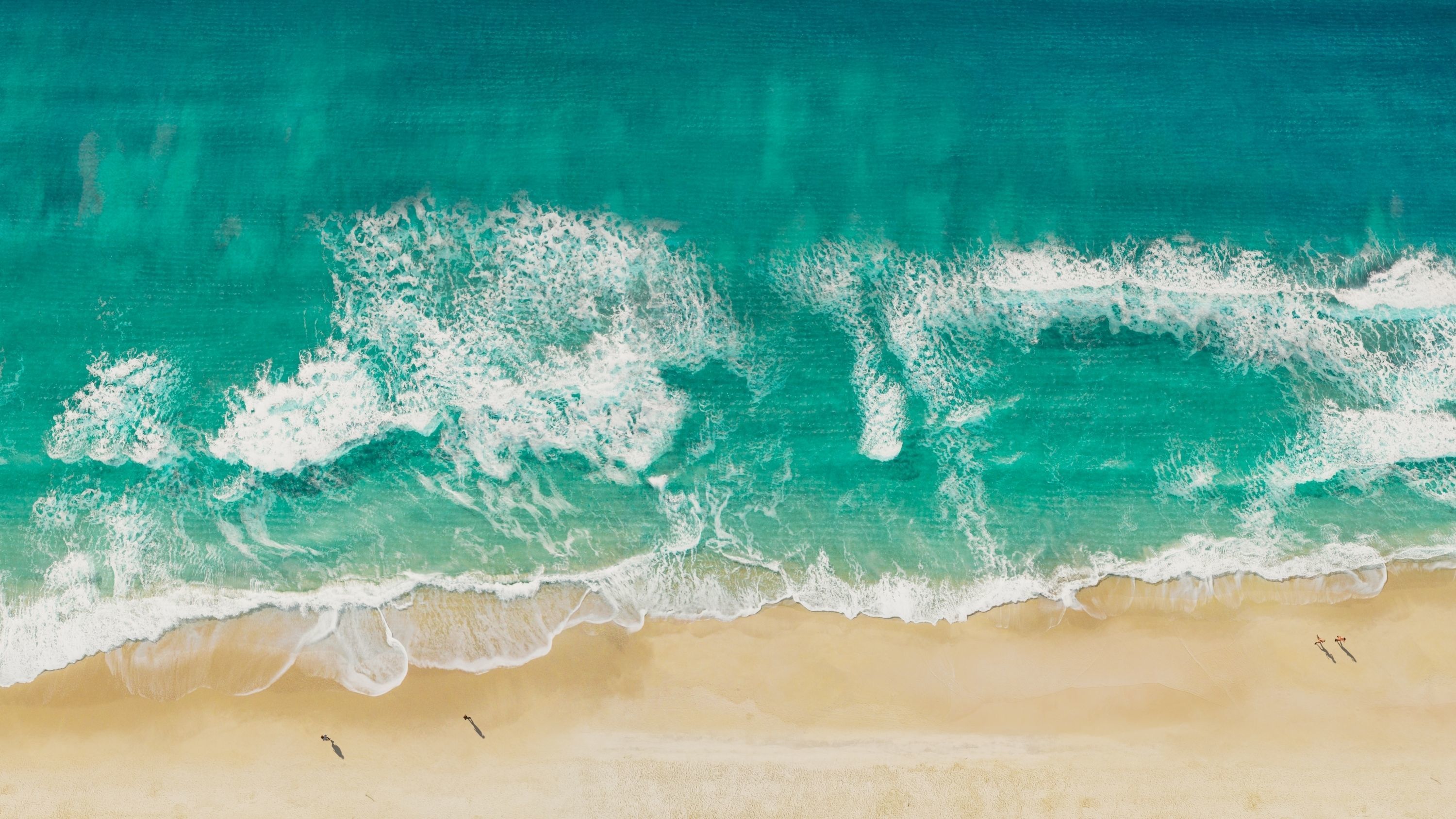 Tropical Water 3d scene  3D model_3