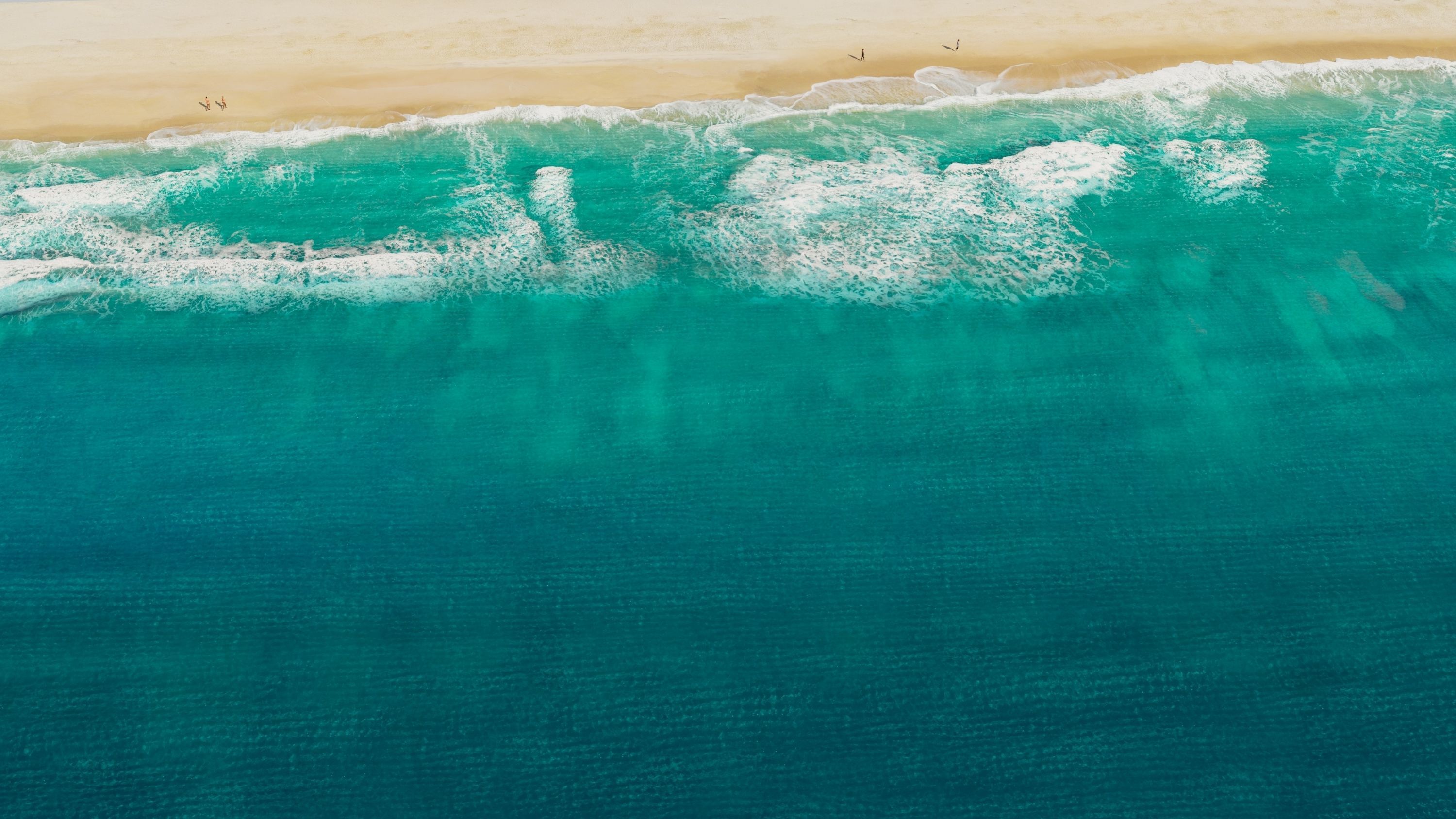 Tropical Water 3d scene  3D model_4