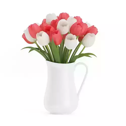 Red and White Tulips