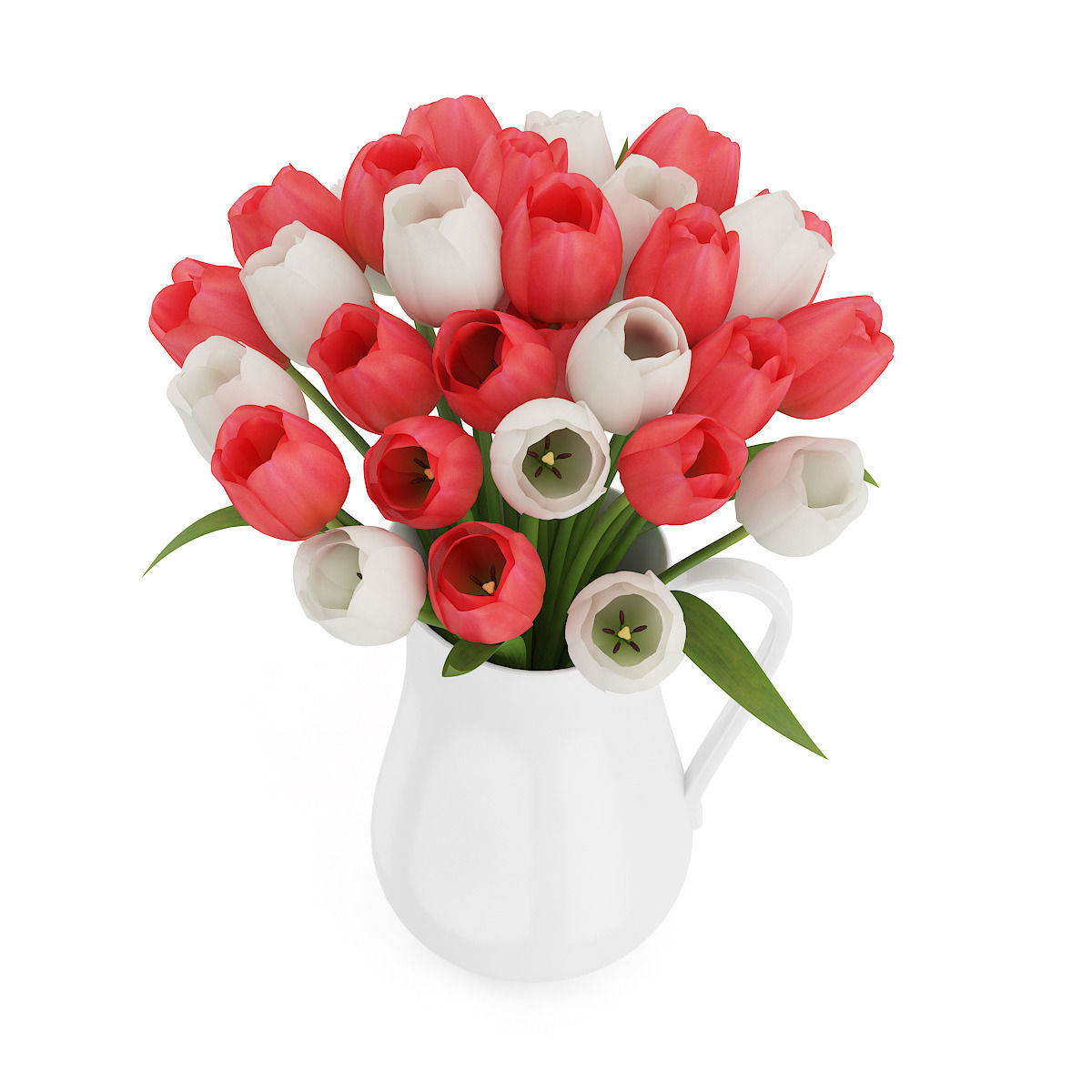 Red and White Tulips 3D model_4