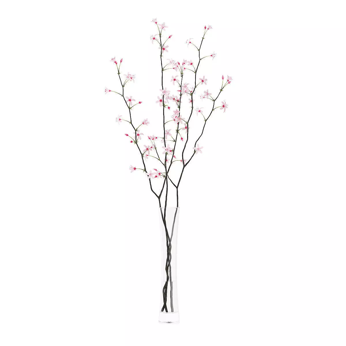 Flowering Tree Twigs in Glass Vase 3D model