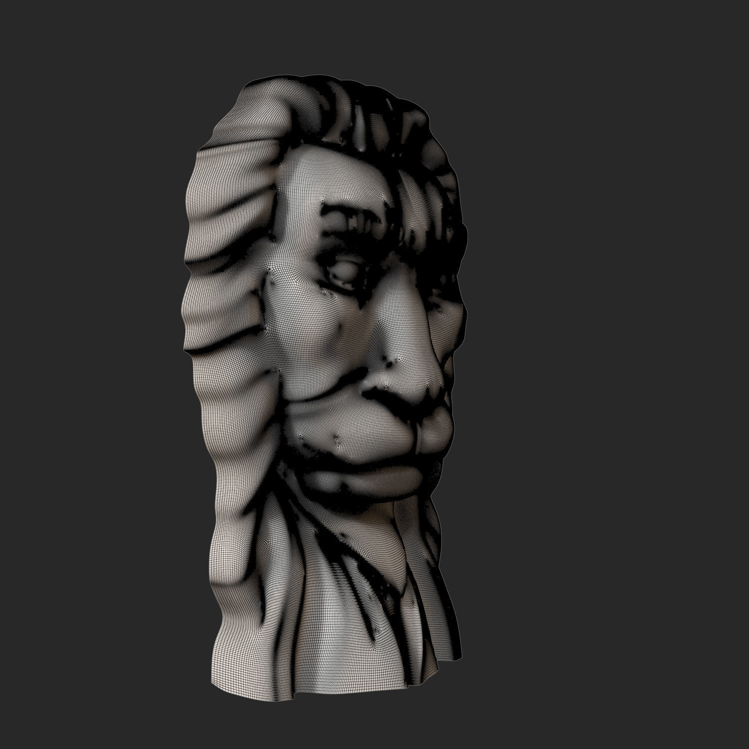 Lion Head LH-001 3D print model_5