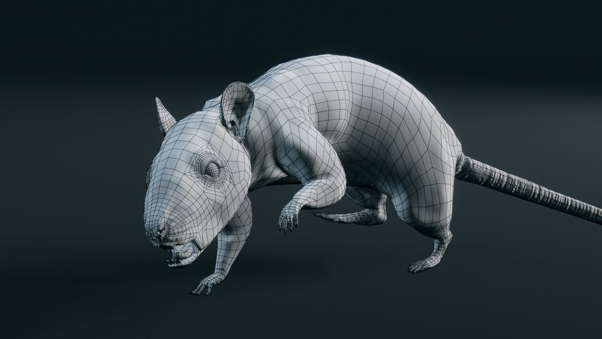 Rat - Realistic 3D model_4