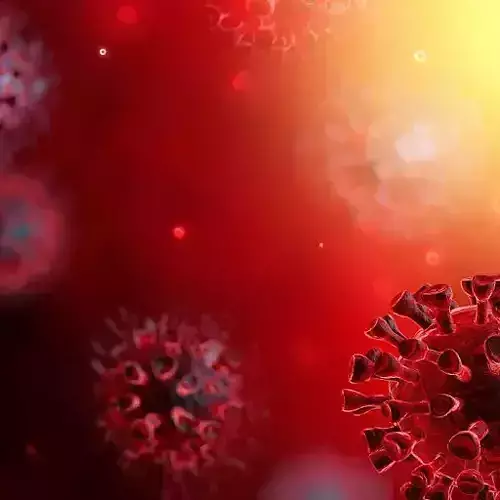 Covid19 coronaviruses