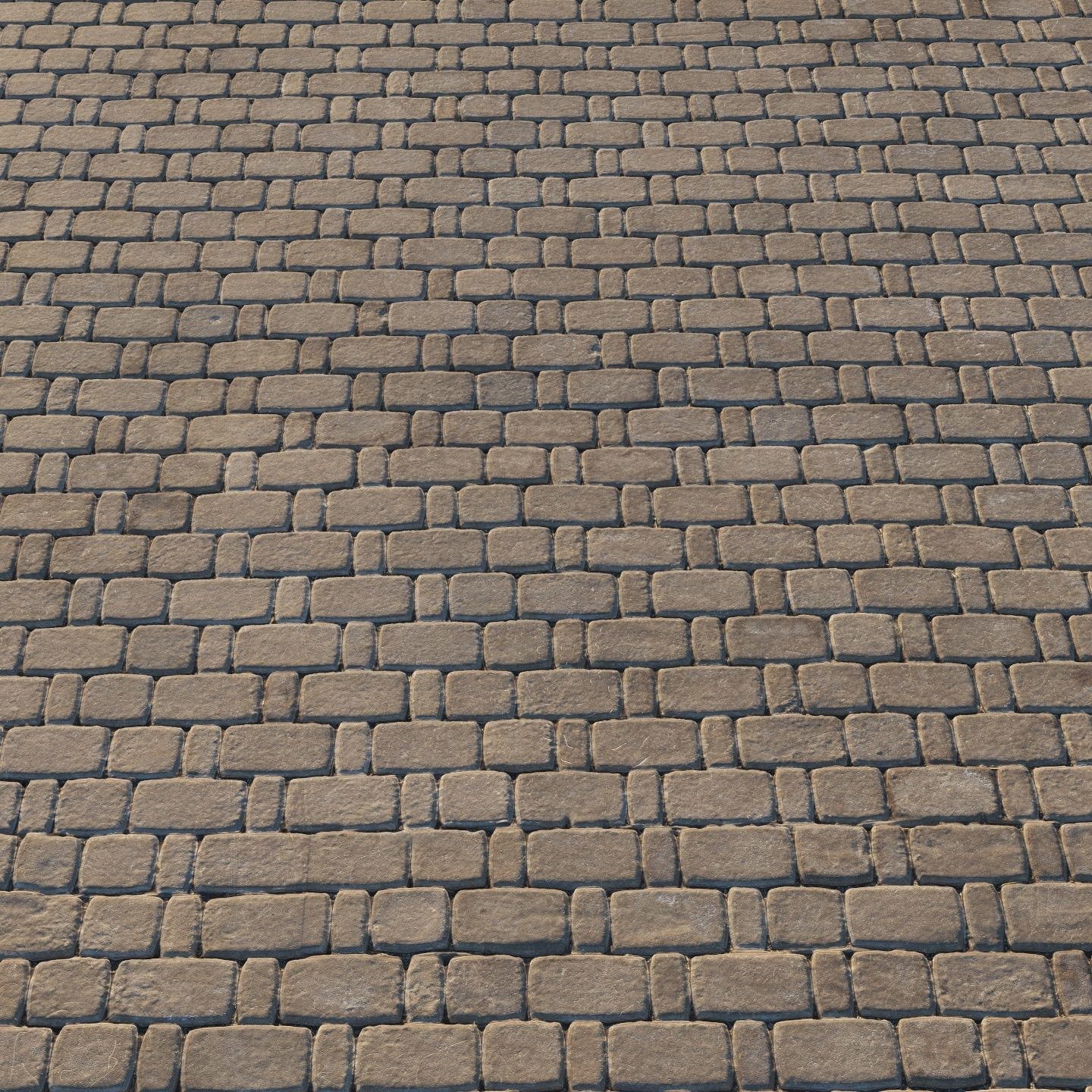 Paving material 02 Texture_4