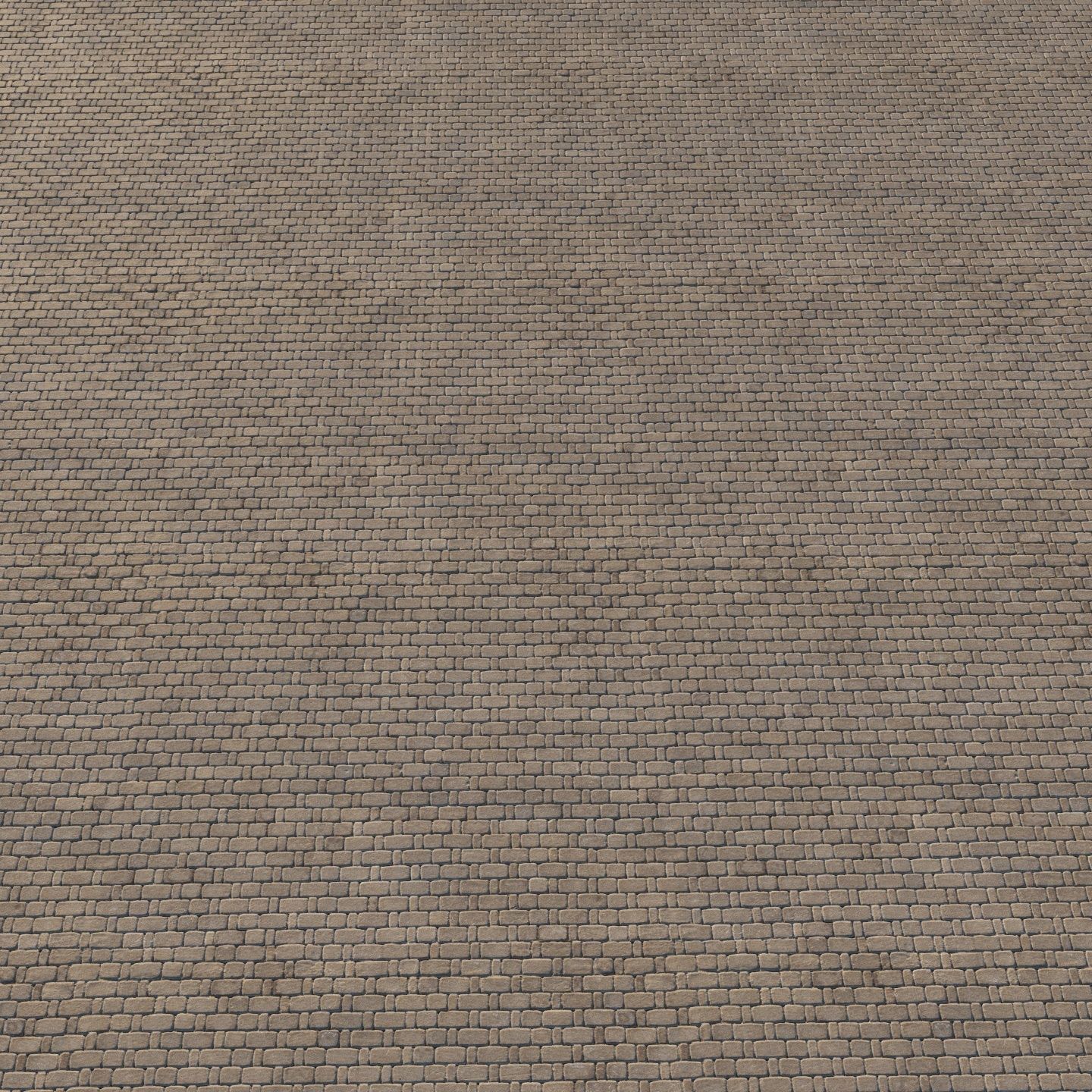 Paving material 02 Texture_3