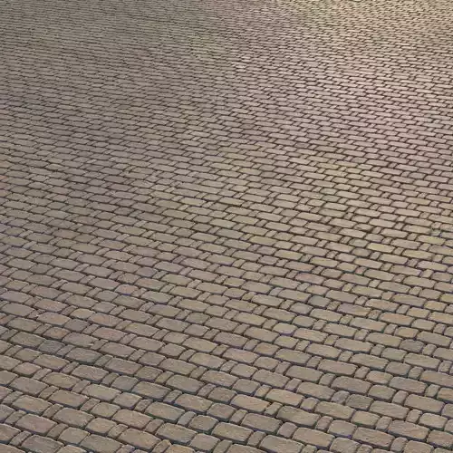 Paving material 02 Texture