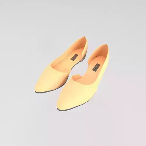 Flat Shoes v1 001