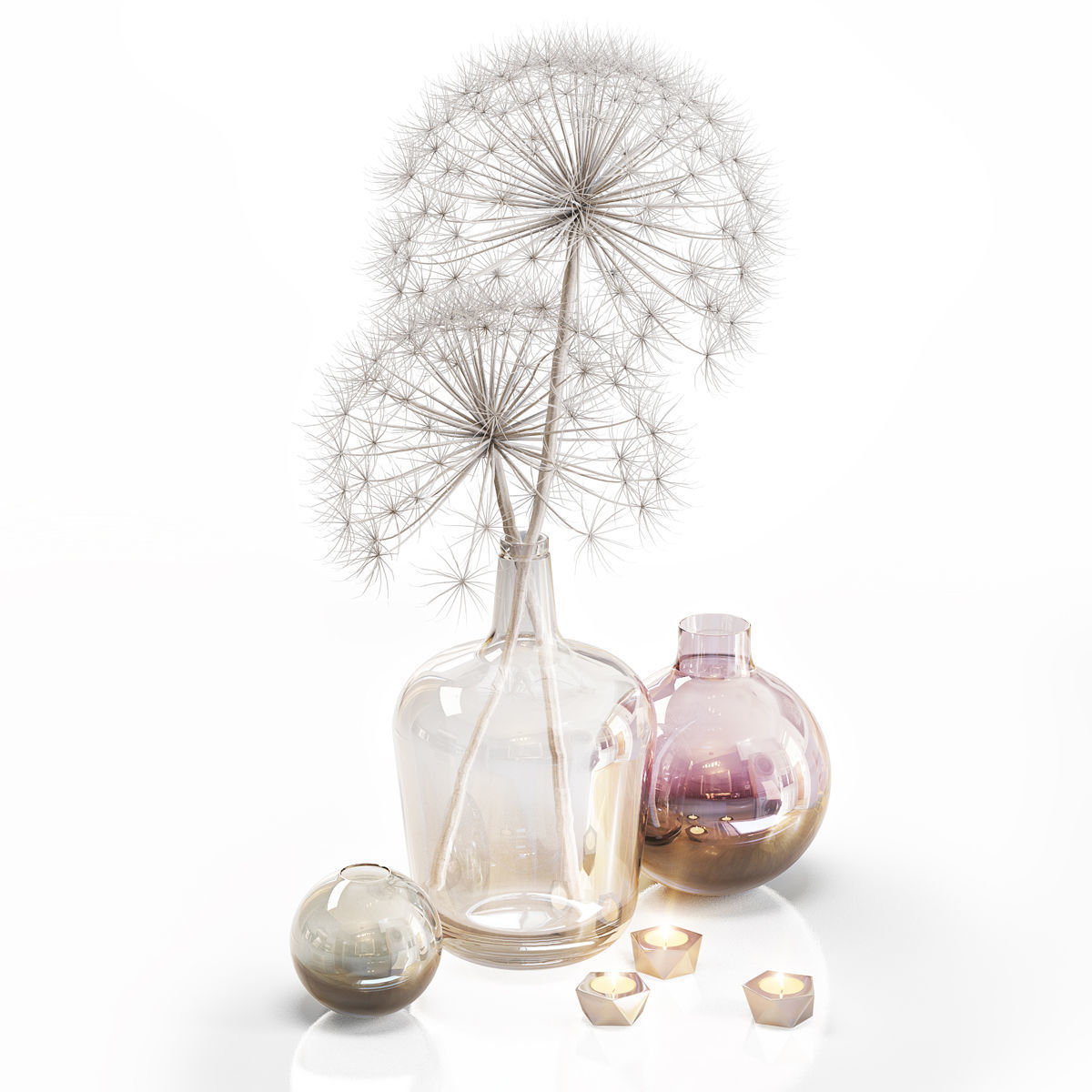 Decor set 13 Heracleum plant white 3D model_5