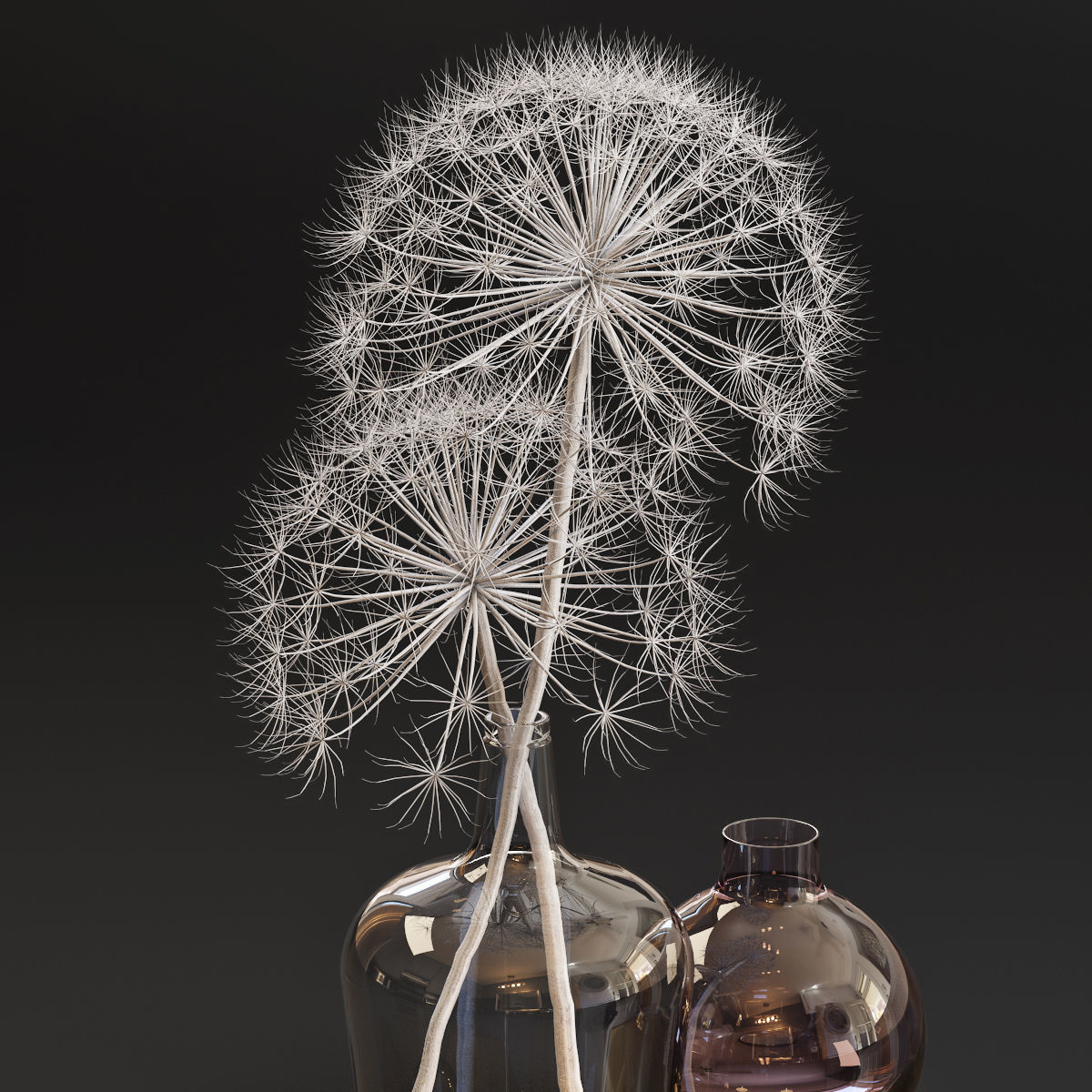 Decor set 13 Heracleum plant white 3D model_3