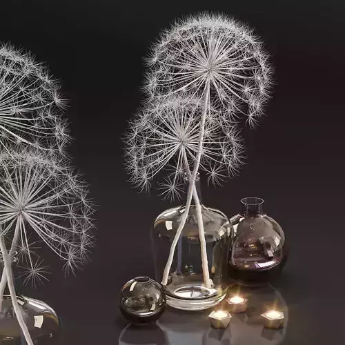 Decor set 13 Heracleum plant white