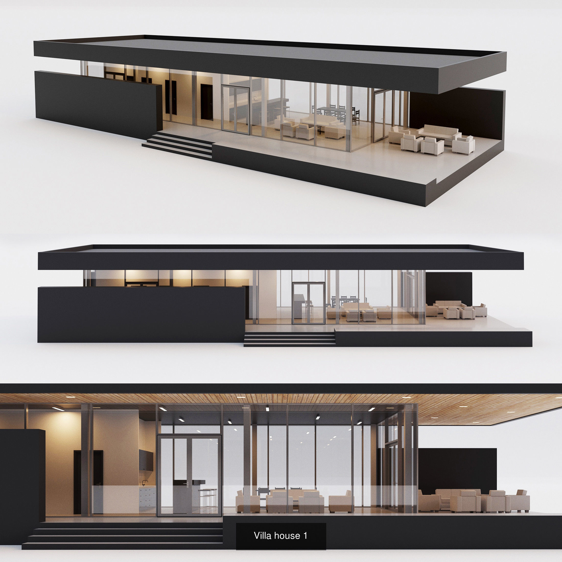 Villa house Collection 4 models _1