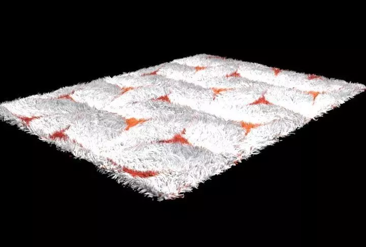 Printed Carpet  Low-poly 3D model_0