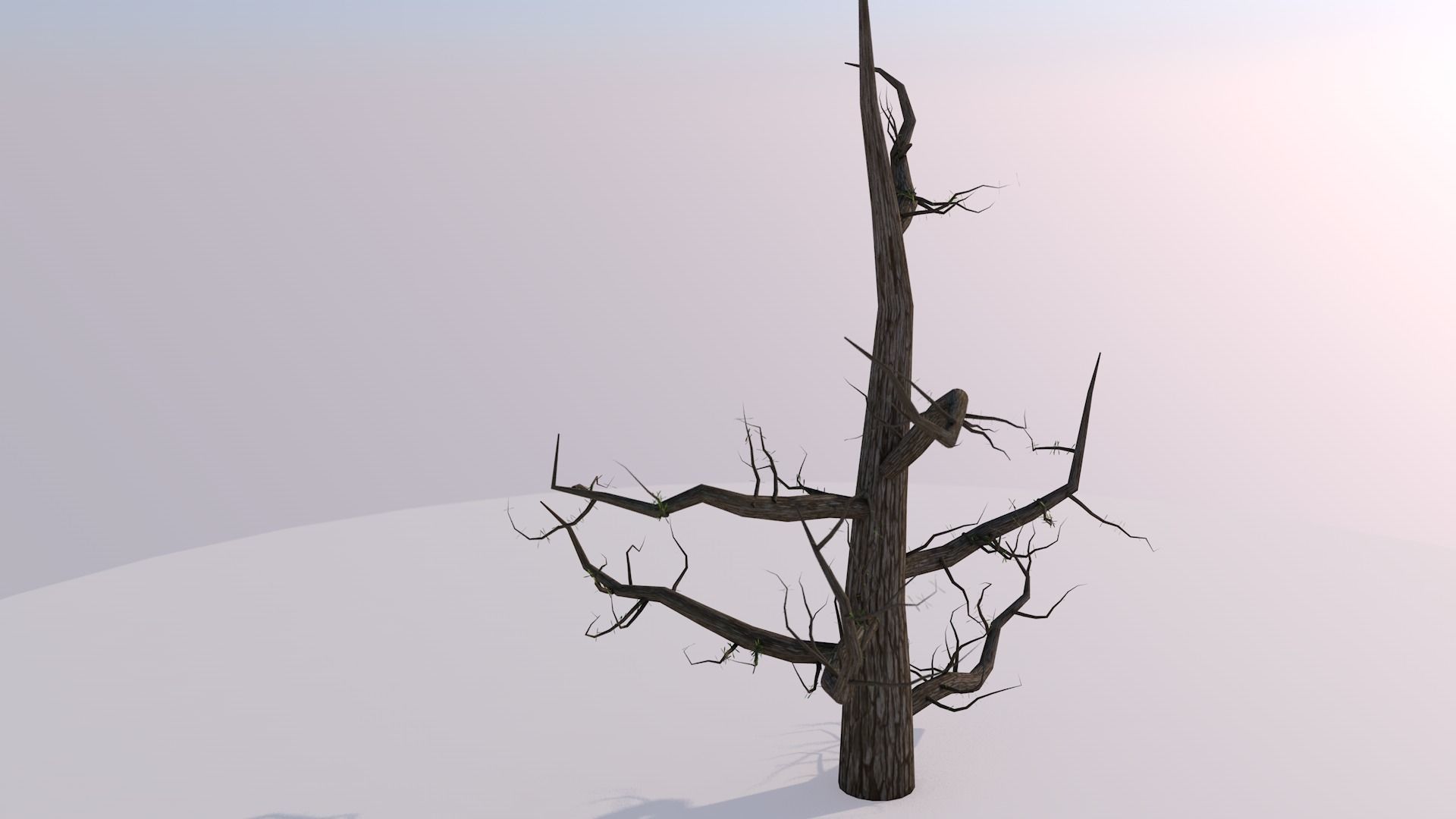 Growth Tree Free 3D model_2