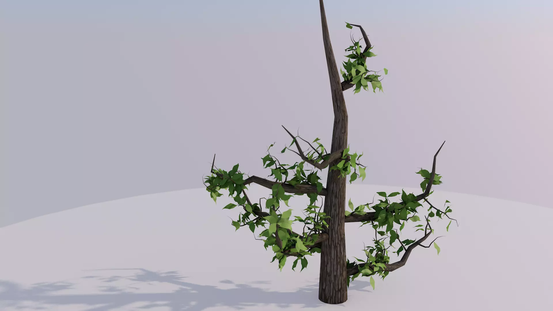 Growth Tree Free 3D model_0