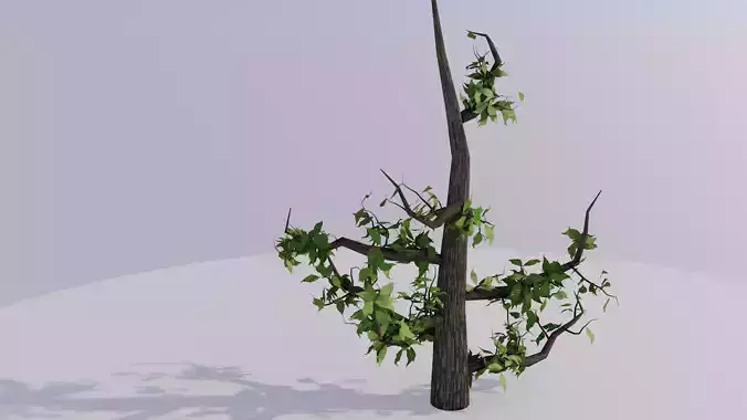 Growth Tree