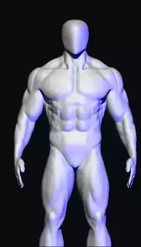 base mesh body builder 